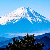 外国人向けの富士山ツアー（登山・観光）